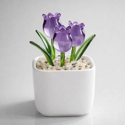 PREVIEW-1-SIDE-VIOLET