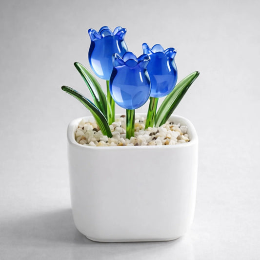 PREVIEW-1-SIDE-BLUE