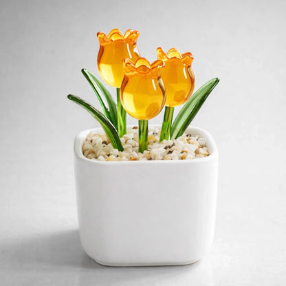 PREVIEW-1-SIDE-YELLOW