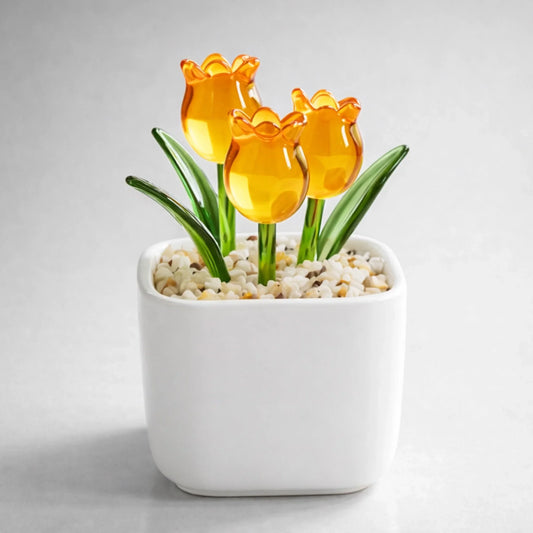 PREVIEW-1-SIDE-YELLOW