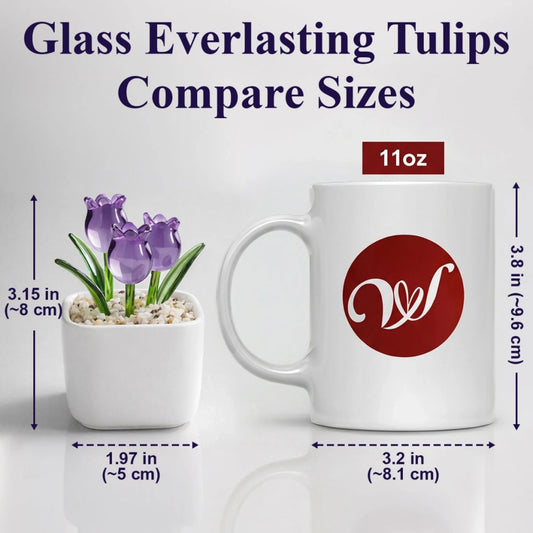 MK-Compare-Sizes